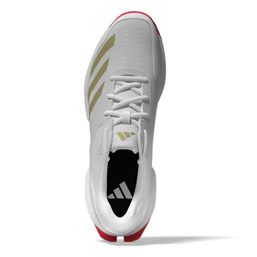 Adidas 22YDS Cricket Shoes
