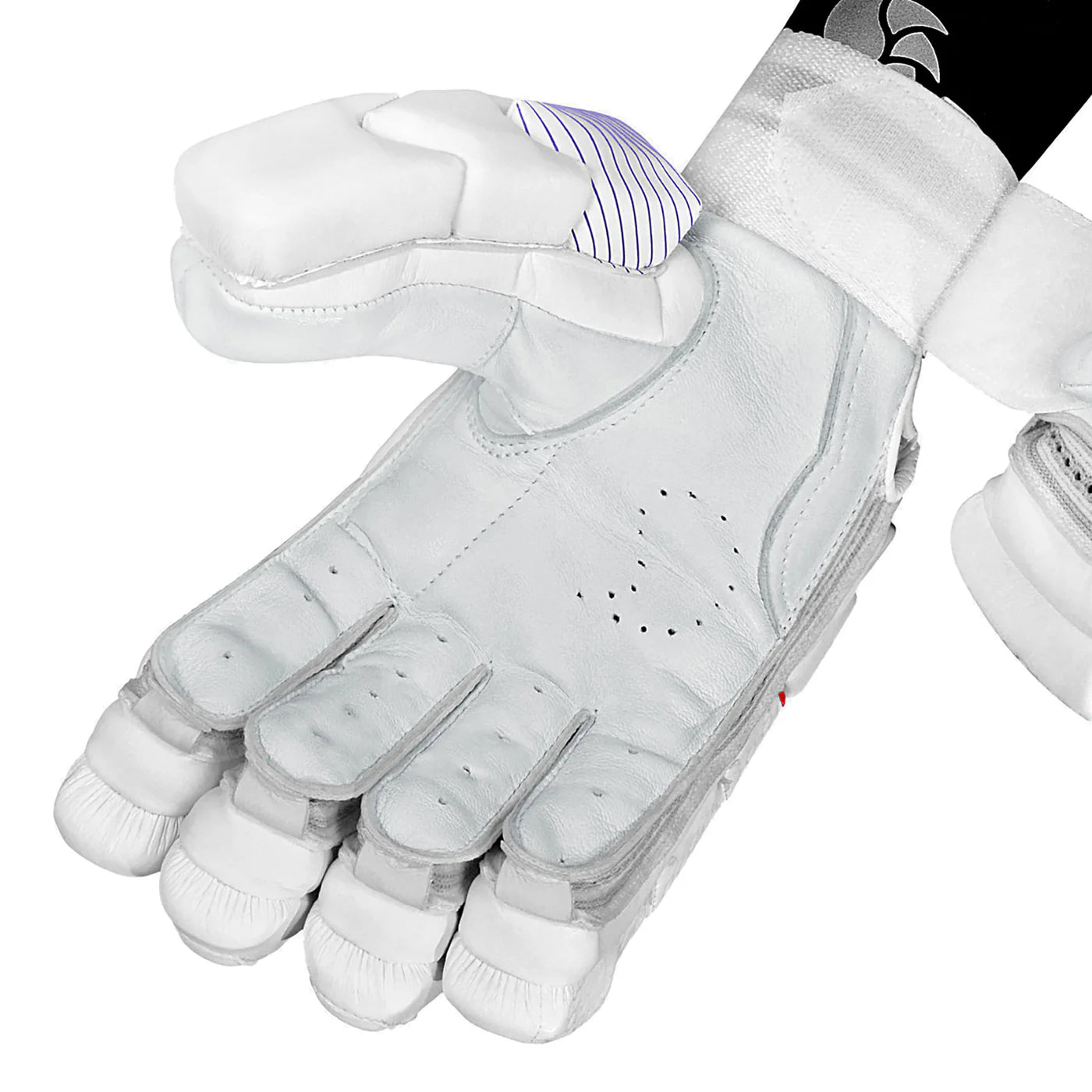 DSC Krunch Bull Autograph Cricket Batting Gloves