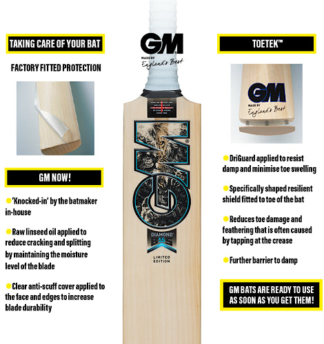 GM Rival 808 Cricket Bat