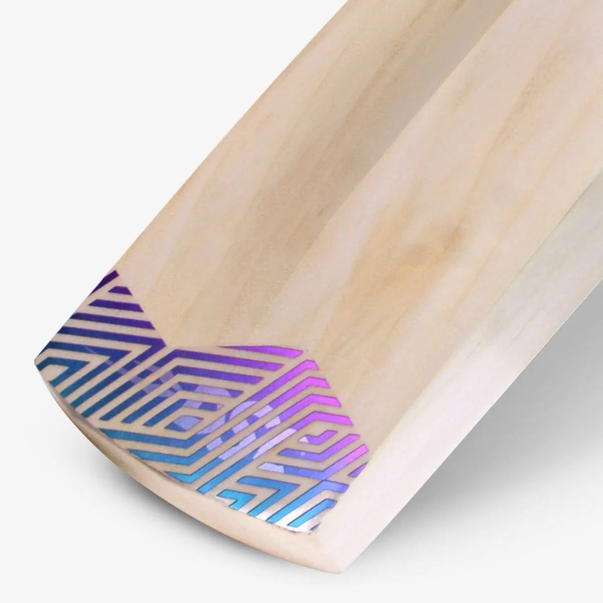 DSC RS Exclusive Kashmir Willow Cricket Bat, view 3