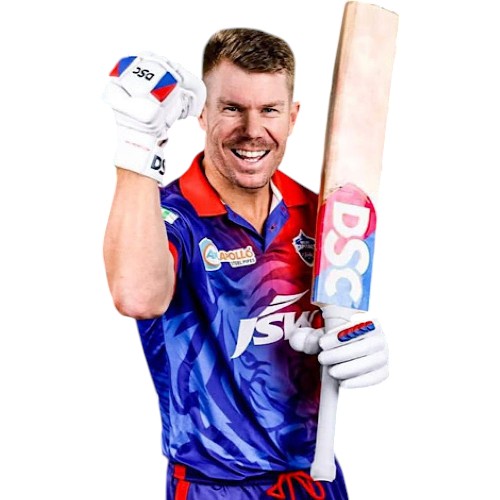 DSC David Warner Players Cricket Bat