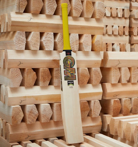 GM Ben Duckett Players Edition Cricket Bat