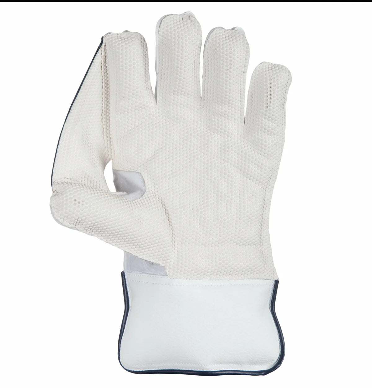 SG RSD Xtreme Cricket Wicket Keeping Gloves