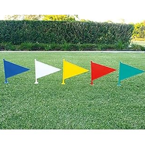 plastic_boundary_flags_set_10_pcs_001.webp